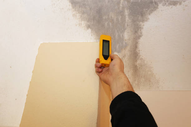 Dehumidification Services in Saline, MI