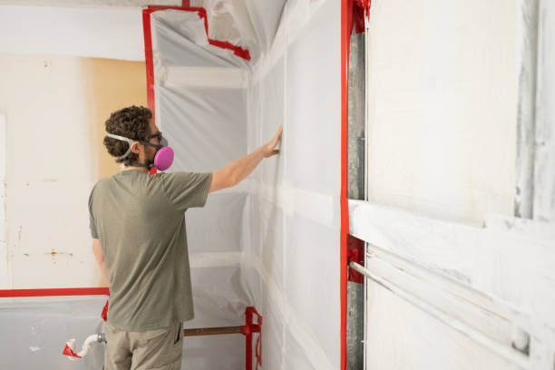 Best Mold-Related Health Consultation  in Saline, MI