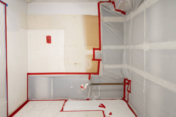 Best Water Damage & Mold Remediation  in Saline, MI