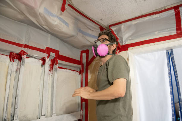 Best Environmental Consulting for Mold Prevention  in Saline, MI