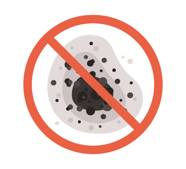 Best Mold Damage Restoration  in Saline, MI