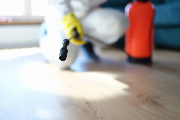 Best Mold Documentation for Insurance Claims  in Saline, MI