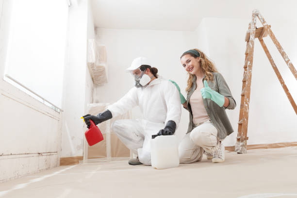 Best Crawl Space Mold Remediation  in Saline, MI
