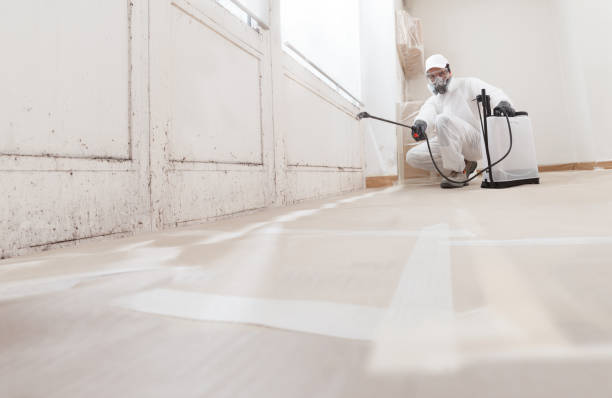 Best Mold Removal for HVAC Installations  in Saline, MI